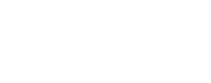 City Net